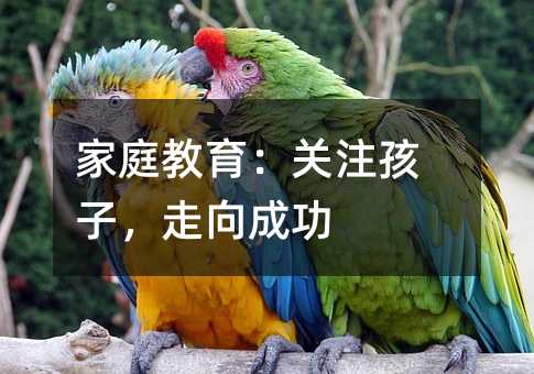 家庭教育:關注孩子,走向成功