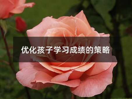 優(yōu)化孩子學習成績的策略