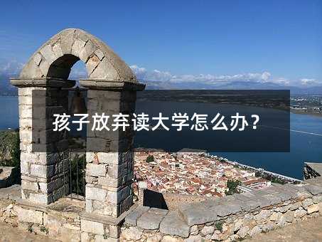 孩子放棄讀大學(xué)怎么辦?