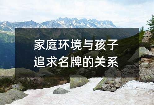 家庭環境與孩子追求名牌的關系
