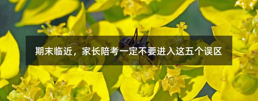 ĩRL㿼һҪM@傀`^