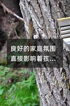 良好的家庭氛圍直接影響著孩子的心理素質