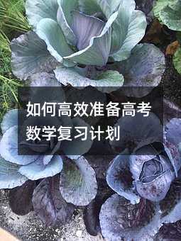 如何高效準備高考數學復習計劃