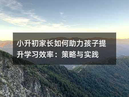 С�������L����������������W��Ч�ʣ������c���`