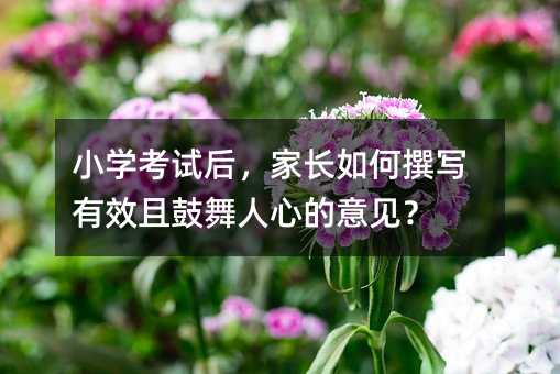 小學考試后,家長如何撰寫有效且鼓舞人心的意見?