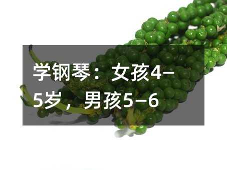 �W(xu��)��٣�Ů��4��5�q���к�5��6�q