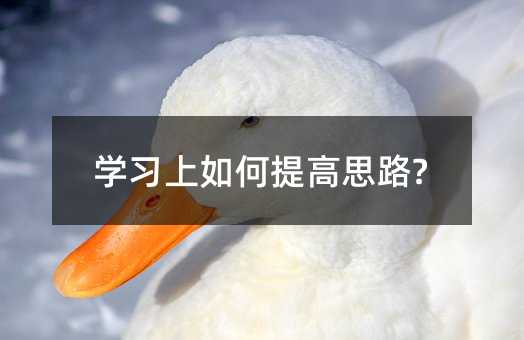 學習上如何提高思路?