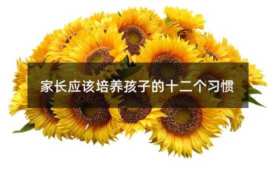 家長應該培養孩子的十二個習慣