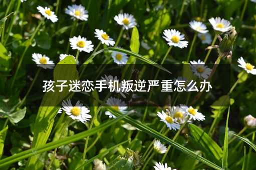 孩子迷戀手機叛逆嚴重怎么辦