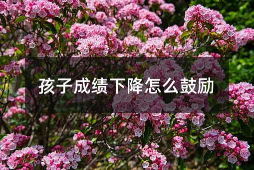 孩子成績下降怎么鼓勵