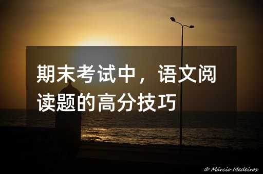 期末考試中,語文閱讀題的高分技巧