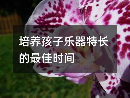 培養孩子樂器特長的最佳時間