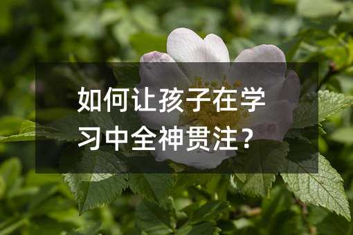 ���׌�����ڌW����ȫ��؞ע��