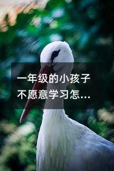 һ�꼉��С���Ӳ�Ը��W����ô�k��