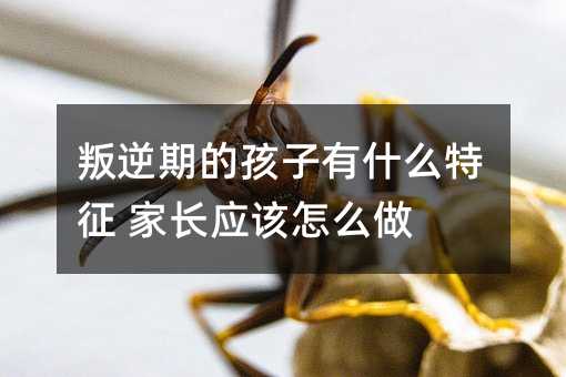 叛逆期的孩子有什么特征 家長(zhǎng)應(yīng)該怎么做