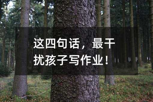 這四句話,最干擾孩子寫作業(yè)!