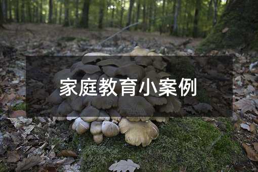 家庭教育小案例