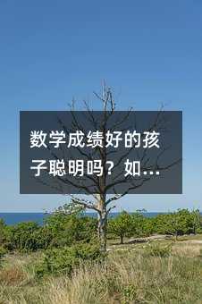 數(shù)學(xué)成績(jī)好的孩子聰明嗎?如何學(xué)好數(shù)學(xué)