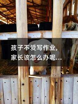 孩子不愛寫作業,家長該怎么辦呢(孩子不愛寫作業,家長該怎么辦呀)