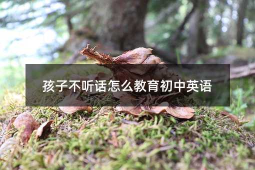 ���Ӳ� (t��ng)Ԓ(hu��)��ô��������Ӣ�Z(y��)