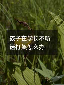 孩子在學長不聽話打架怎么辦