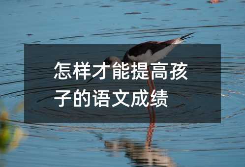 怎樣才能提高孩子的語文成績