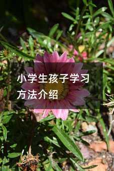 小學生孩子學習方法介紹