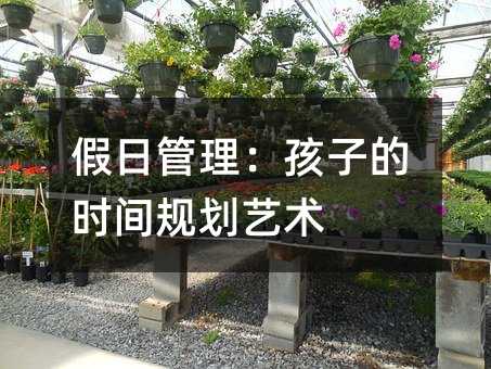 假日管理:孩子的時間規(guī)劃藝術(shù)