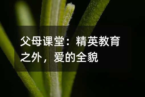 父母課堂:精英教育之外,愛的全貌