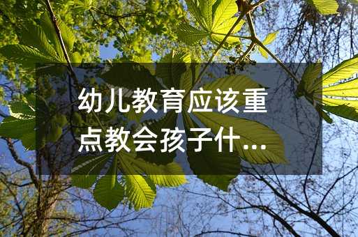 幼兒教育應該重點教會孩子什么?