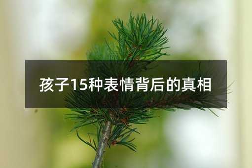 ����15�N���鱳�������