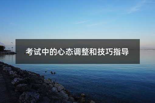 考試中的心態(tài)調(diào)整和技巧指導(dǎo)