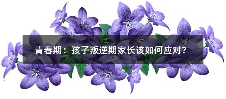 青春期:孩子叛逆期家長該如何應(yīng)對(duì)?