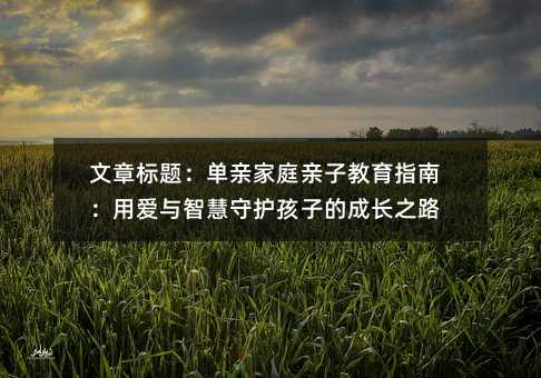文章標(biāo)題:?jiǎn)斡H家庭親子教育指南:用愛與智慧守護(hù)孩子的成長(zhǎng)之路