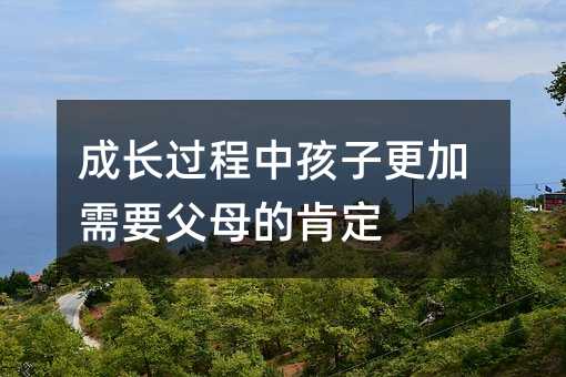 成長(zhǎng)過程中孩子更加需要父母的肯定