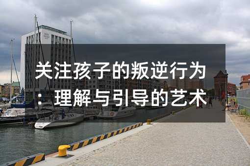 �P(gu��n)ע���ӵ������О飺�����c����(d��o)��ˇ�g(sh��)