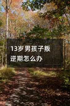 13�q�к�����������ô�k