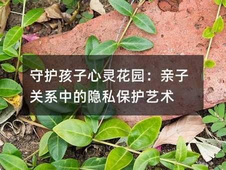 守護孩子心靈花園:親子關系中的隱私保護藝術