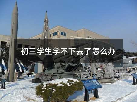 初三學生學不下去了怎么辦