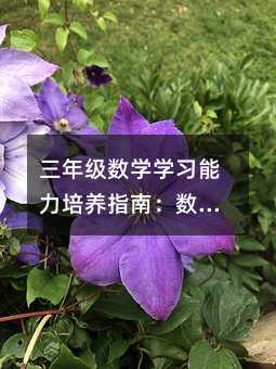 三年級數學學習能力培養指南:數感與空間思維的雙翼