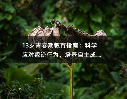 13�q�ഺ�ڽ���ָ�ϣ��ƌW���������О飬���B�������L����