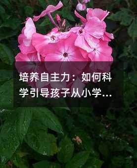 培養自主力:如何科學引導孩子從小學會做選擇