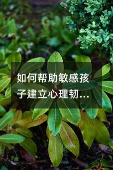 如何幫助敏感孩子建立心理韌性——家庭教育中的情緒疏導指南