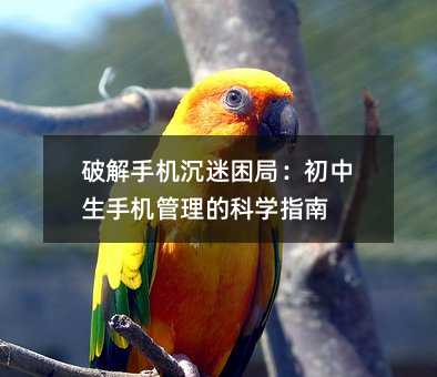 破解手機(jī)沉迷困局:初中生手機(jī)管理的科學(xué)指南