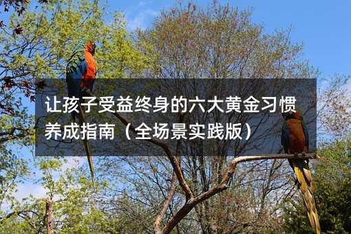 ׌��������K���������S�����T�B��ָ�ϣ�ȫ�������`�棩