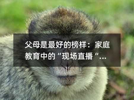 父母是最好的榜樣:家庭教育中的“現場直播“法則