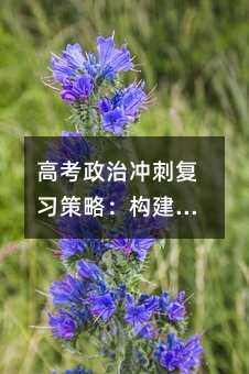 高考政治沖刺復習策略:構建知識體系與精準備考指南