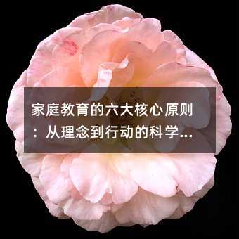 ͥԭtЄ(dng)ĿƌW(xu)ָ