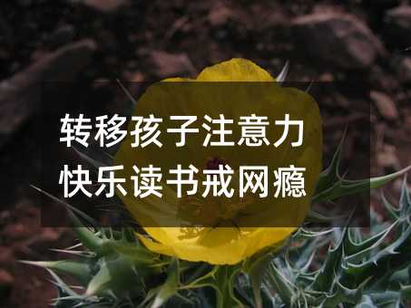 �D�ƺ���ע���� �옷�x����W�a