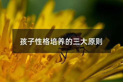 孩子性格培養的三大原則